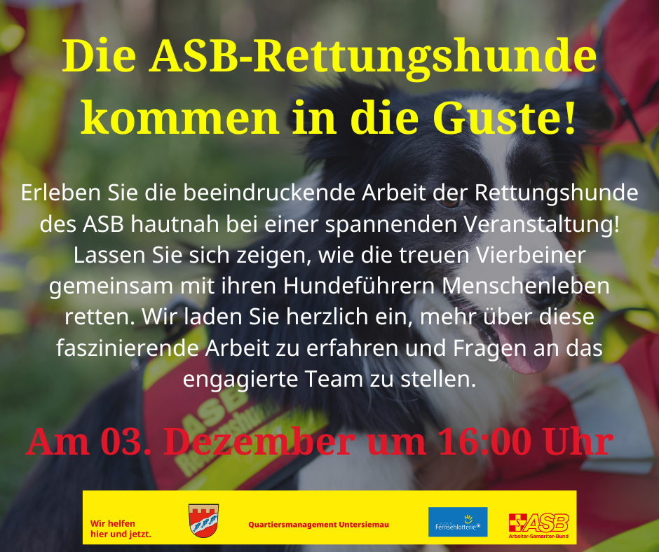 Die Rettungshunde kommen! - 1