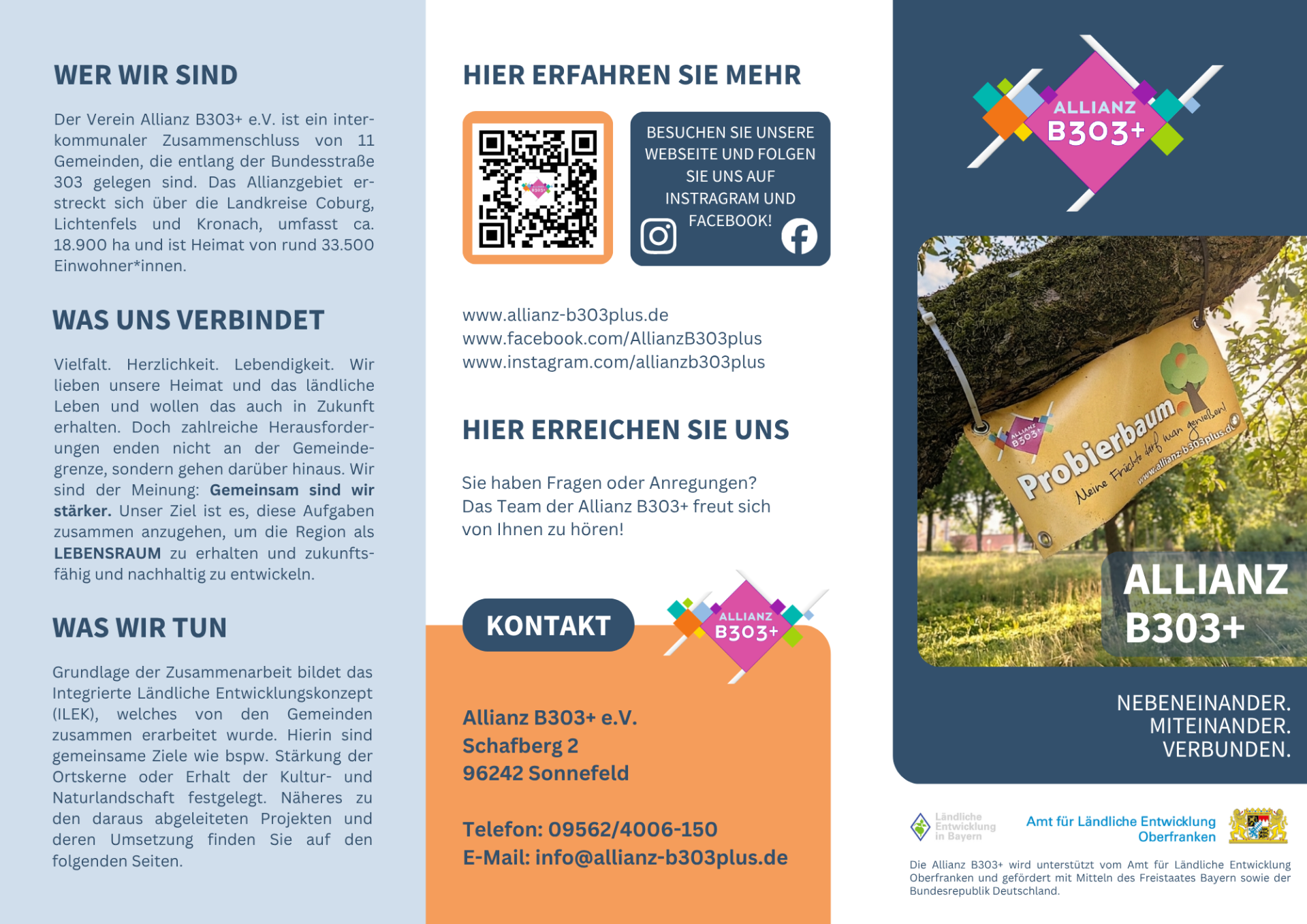 19.02.2026 B303 Flyer Wickelfalz - 1