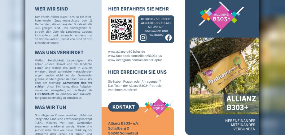 19.02.2026 B303 Flyer Wickelfalz - 1